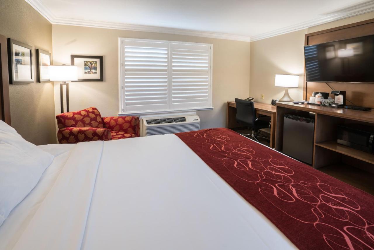 Hotel Comfort River Park